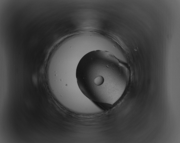 X0000099981164200806061517