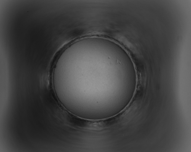 X0000099981165200806061517