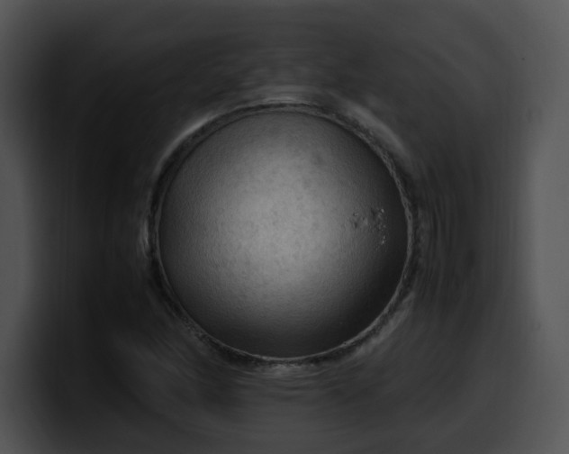 X0000099981166200806061517