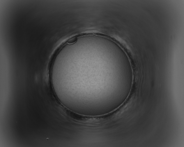 X0000099981167200806061517