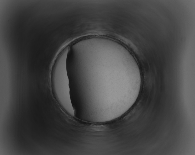 X0000099981168200806061517