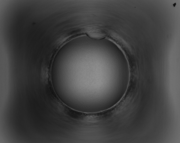 X0000099981169200806061517