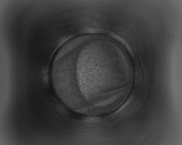 X0000099981170200806061517