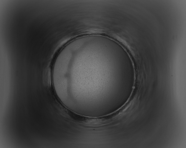 X0000099981171200806061517