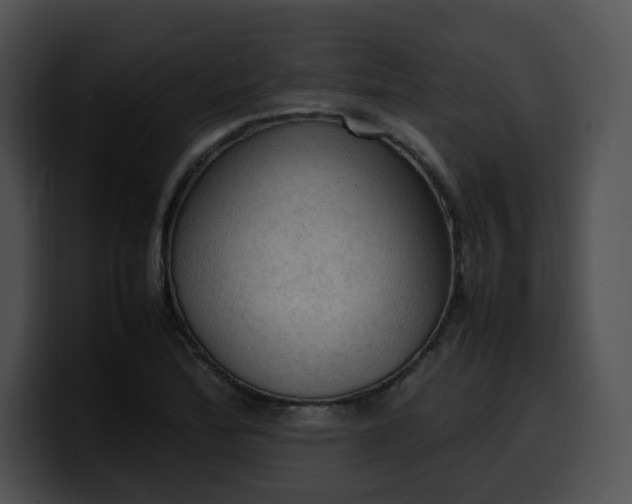 X0000099981172200806061517