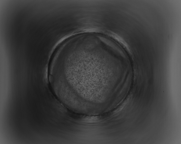 X0000099981174200806061517