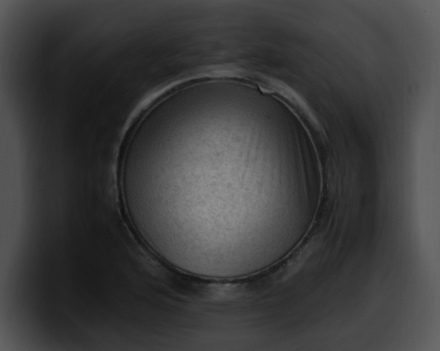 X0000099981176200806061517