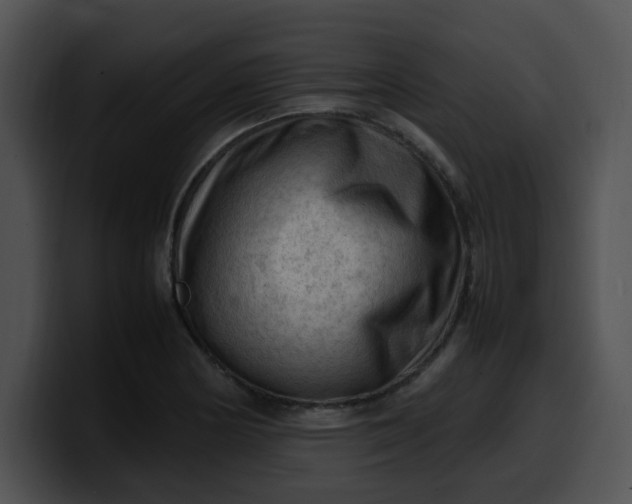 X0000099981178200806061517