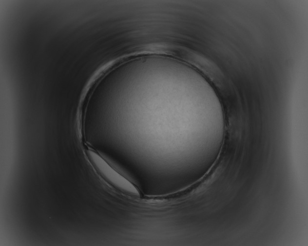 X0000099981180200806061517