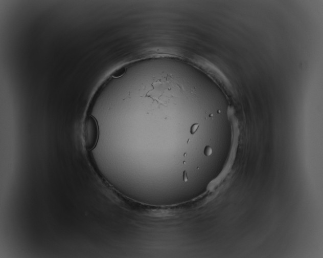 X0000099981182200806061517