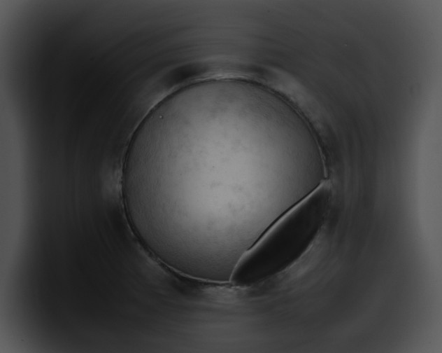 X0000099981185200806061517