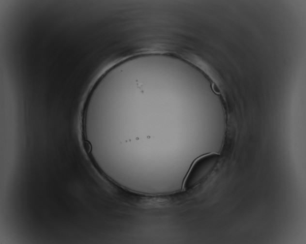 X0000099981187200806061517