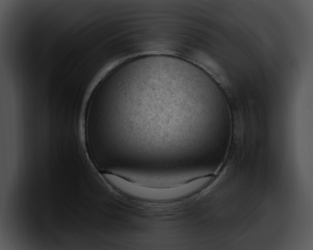 X0000099981188200806061517