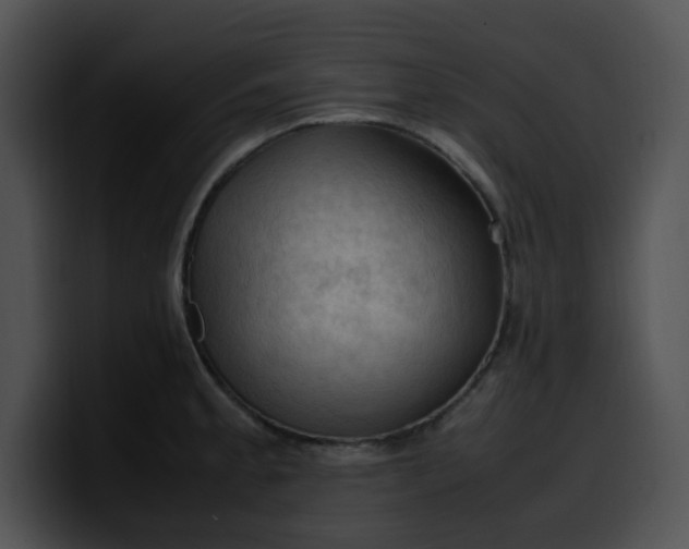 X0000099981189200806061517