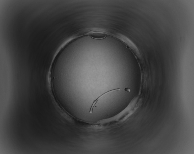 X0000099981190200806061517