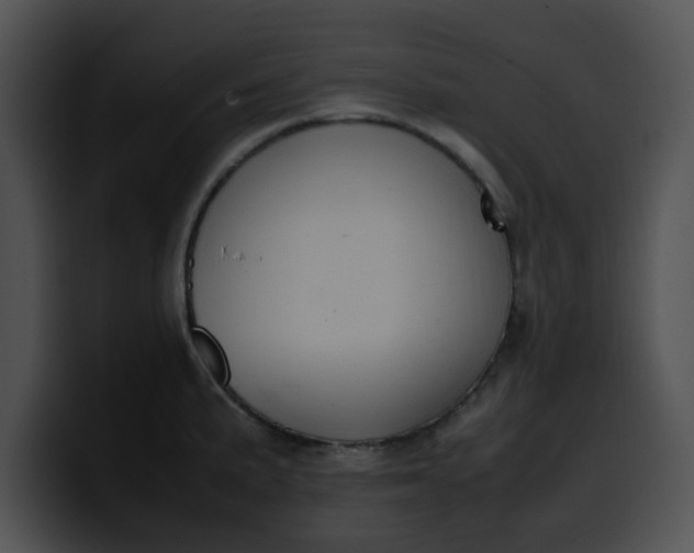 X0000099981191200806061517