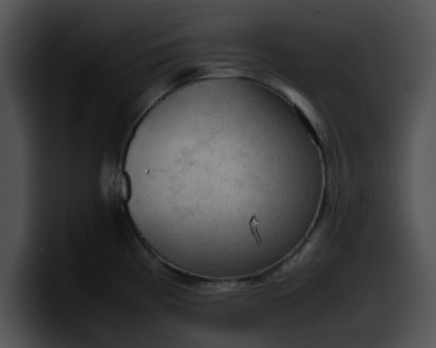 X0000099981193200806061517