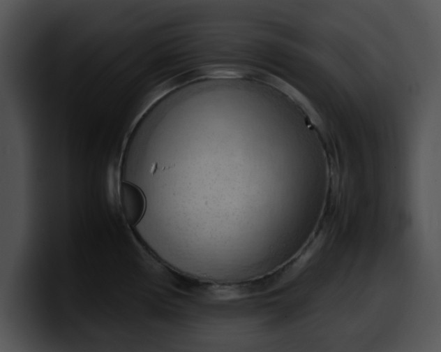 X0000099981194200806061517