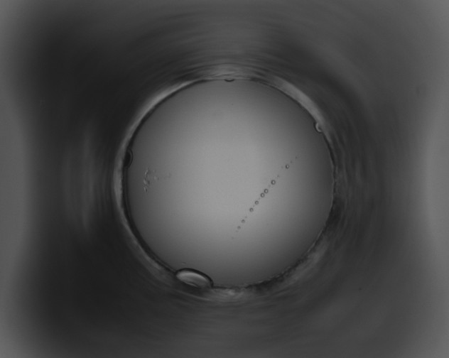 X0000099981195200806061516