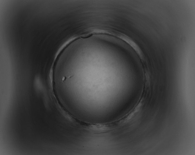 X0000099981198200806061516