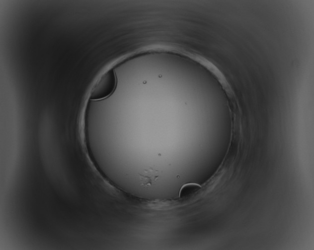 X0000099981199200806061516