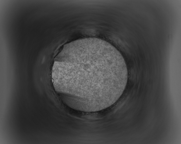 X0000099981201200806061516