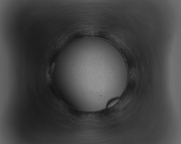 X0000099981202200806061516