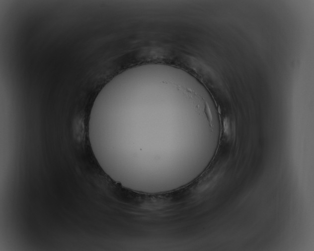 X0000099981203200806061516