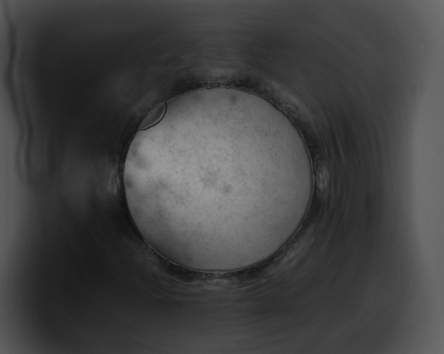 X0000099981204200806061516