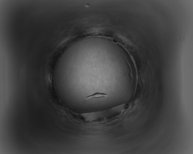 X0000099981206200806061516