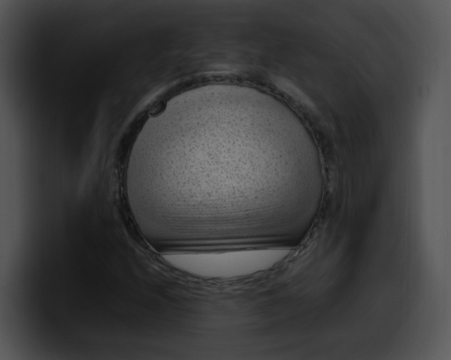 X0000099981208200806061516