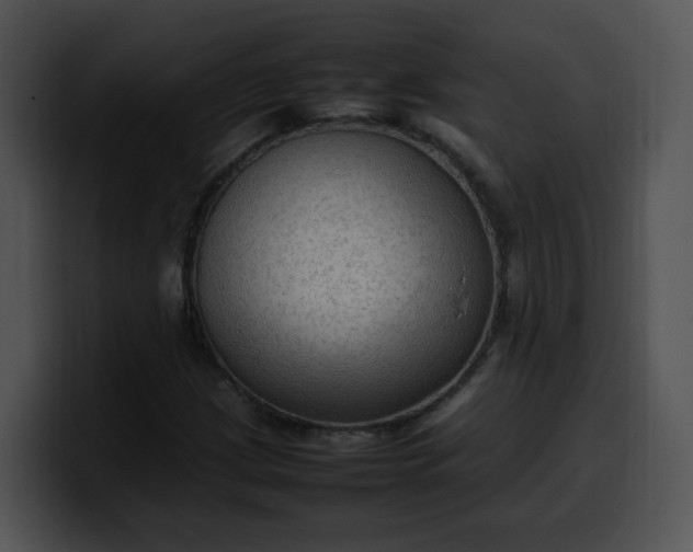 X0000099981209200806061516