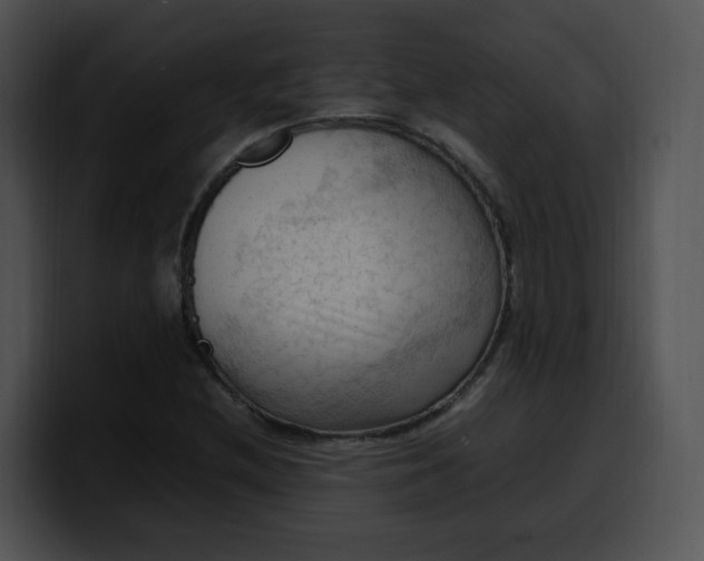 X0000099981212200806061516