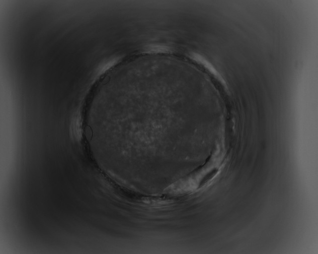 X0000099981213200806061516