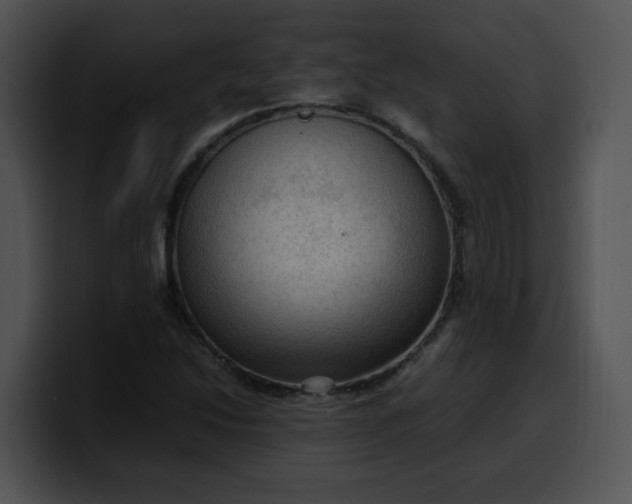 X0000099981214200806061516