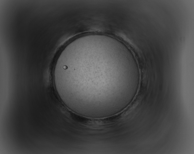 X0000099981215200806061516