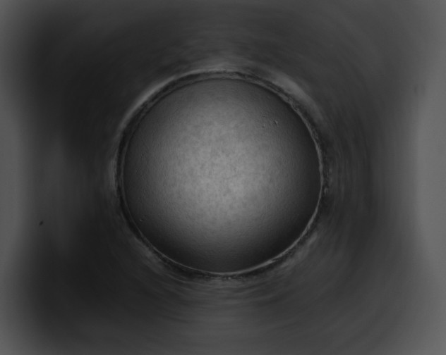 X0000099981216200806061516