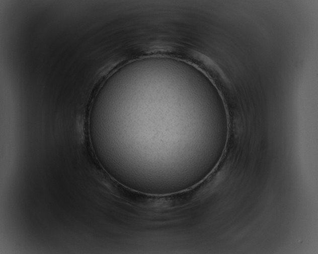 X0000099981217200806061516