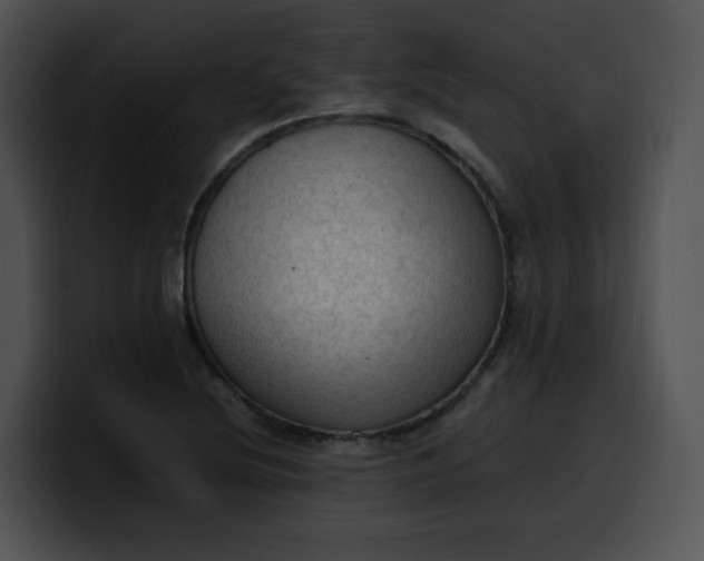 X0000099981220200806061516