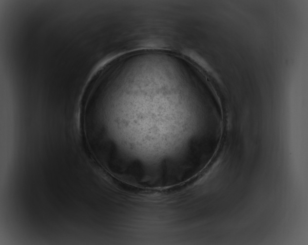 X0000099981222200806061516