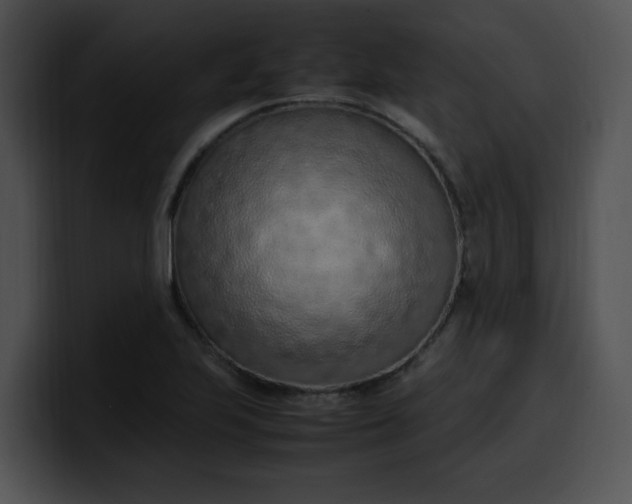 X0000099981223200806061516