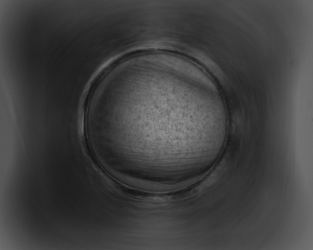 X0000099981224200806061516