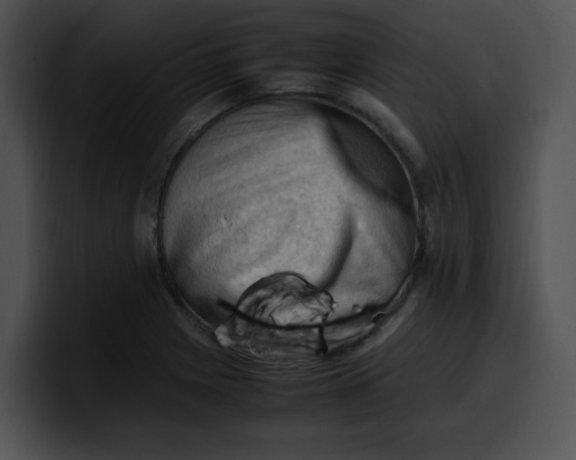 X0000099981225200806061516