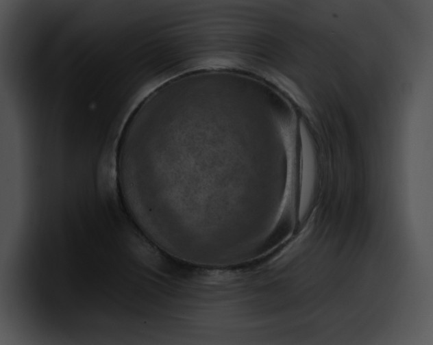 X0000099981226200806061516