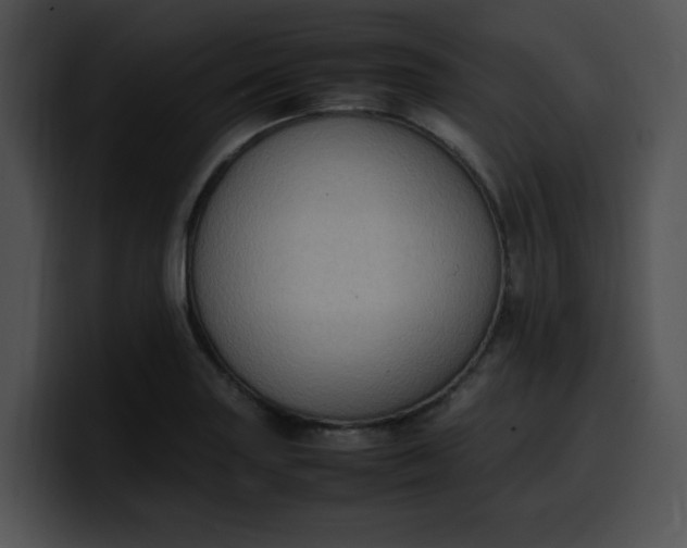 X0000099981227200806061516