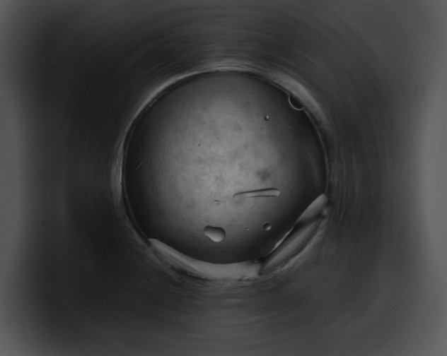 X0000099981228200806061516