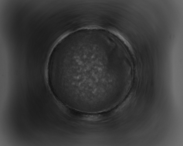 X0000099981229200806061516