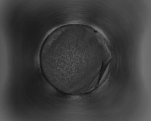 X0000099981230200806061516