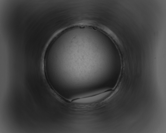 X0000099981232200806061516