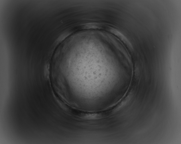 X0000099981233200806061516